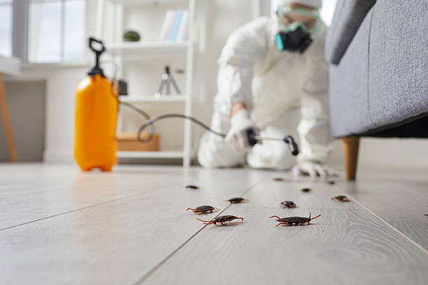 Post-Treatment Bed Bug Interceptor Monitoring in Baltimore Highlands