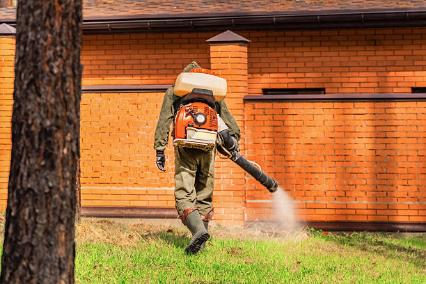Bed Bug Clearance Verification and Documentation in Baltimore Highlands